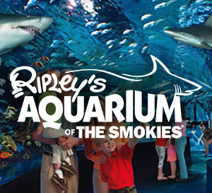 Ripleys Aquarium of the Smokies