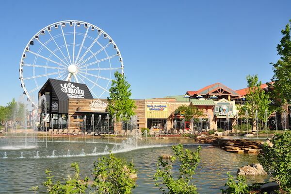 3 Pet-Friendly Things to Do in Pigeon Forge and Gatlinburg