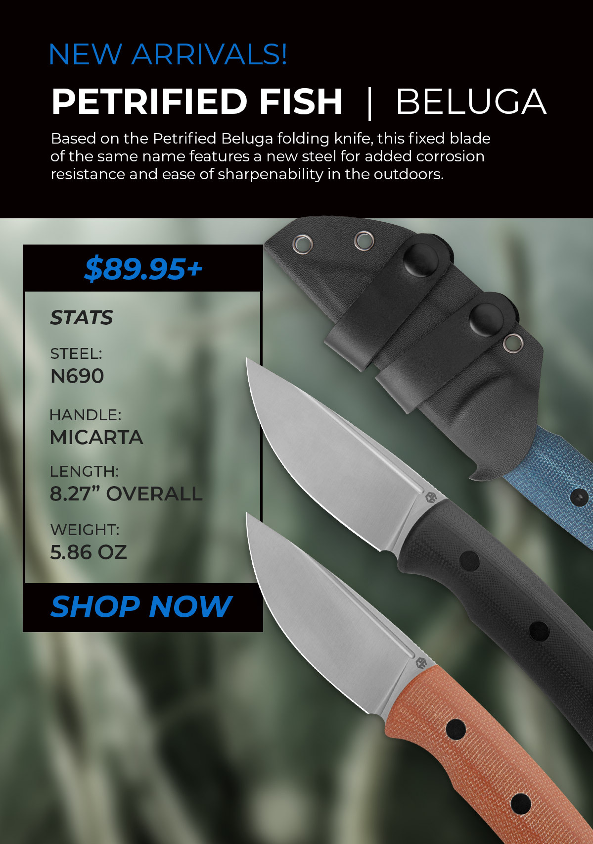 Petrified Fish Beluga