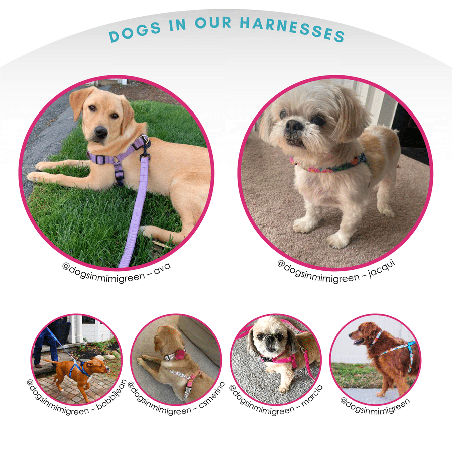 EasyOn Customizable Dog Harnesses Mimi Green