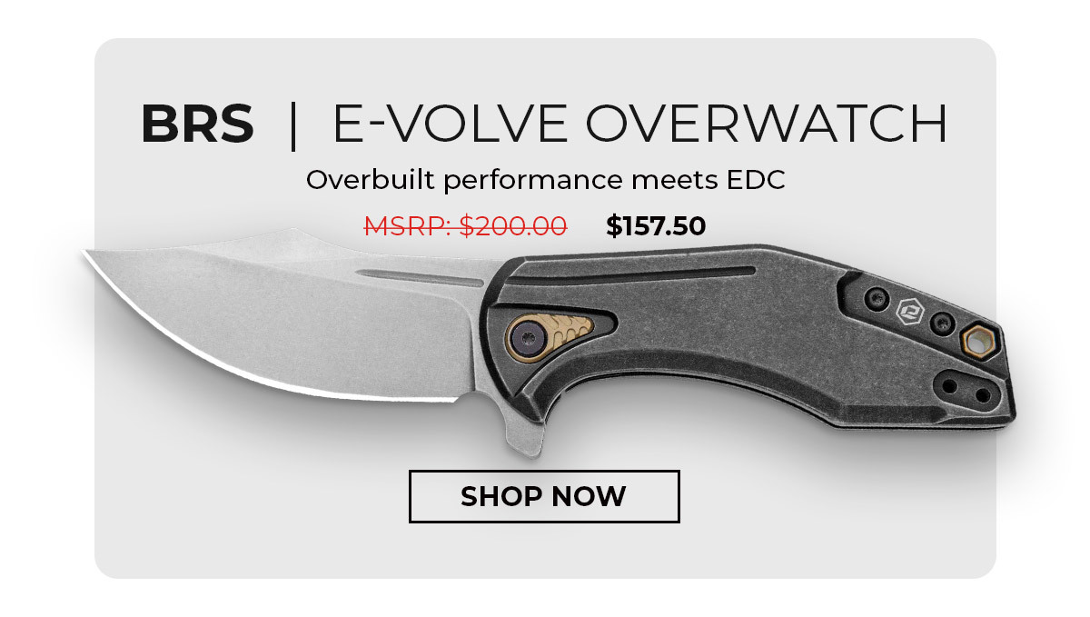 BRS E-Volve Overwatch