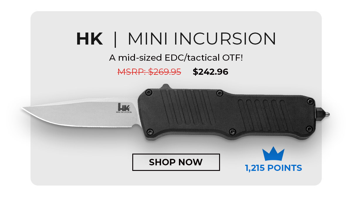HK Mini Incursion
