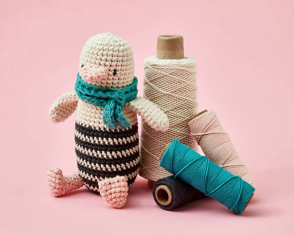 beginner amigurumi crochet kit