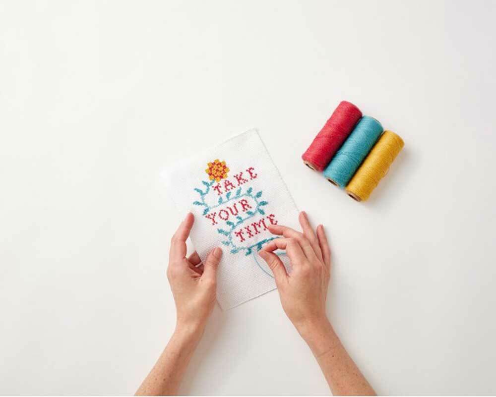 beginner cross stitch kit