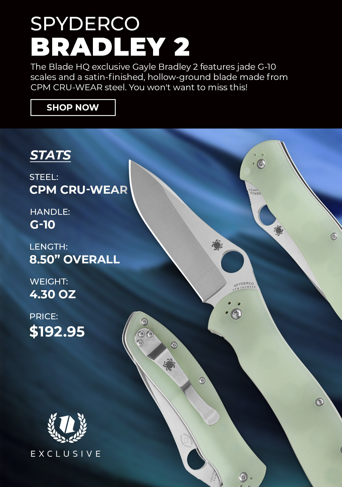 Spyderco Bradley 2 Exclusive