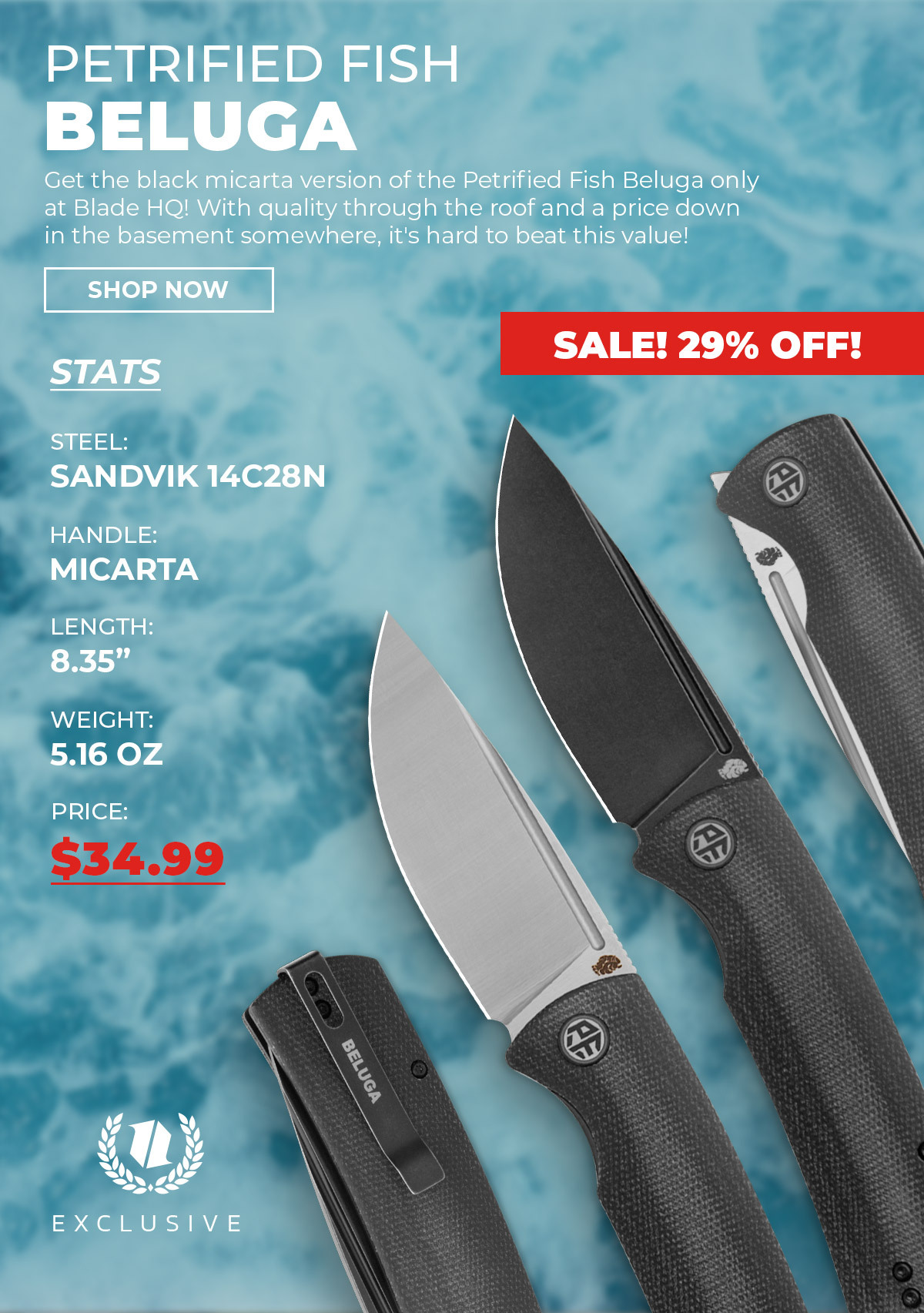 Petrified Fish Beluga