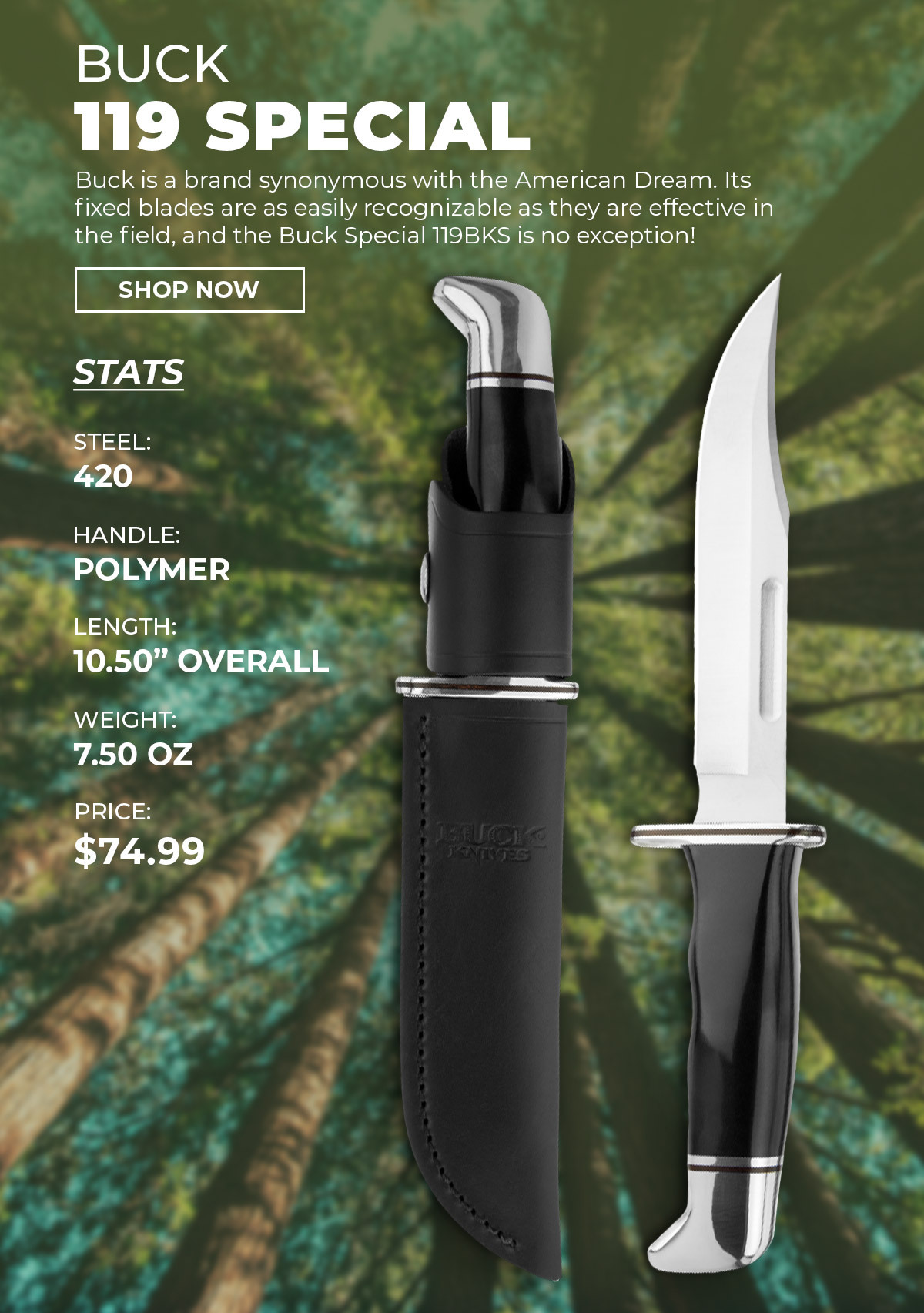 Buck 119 Special