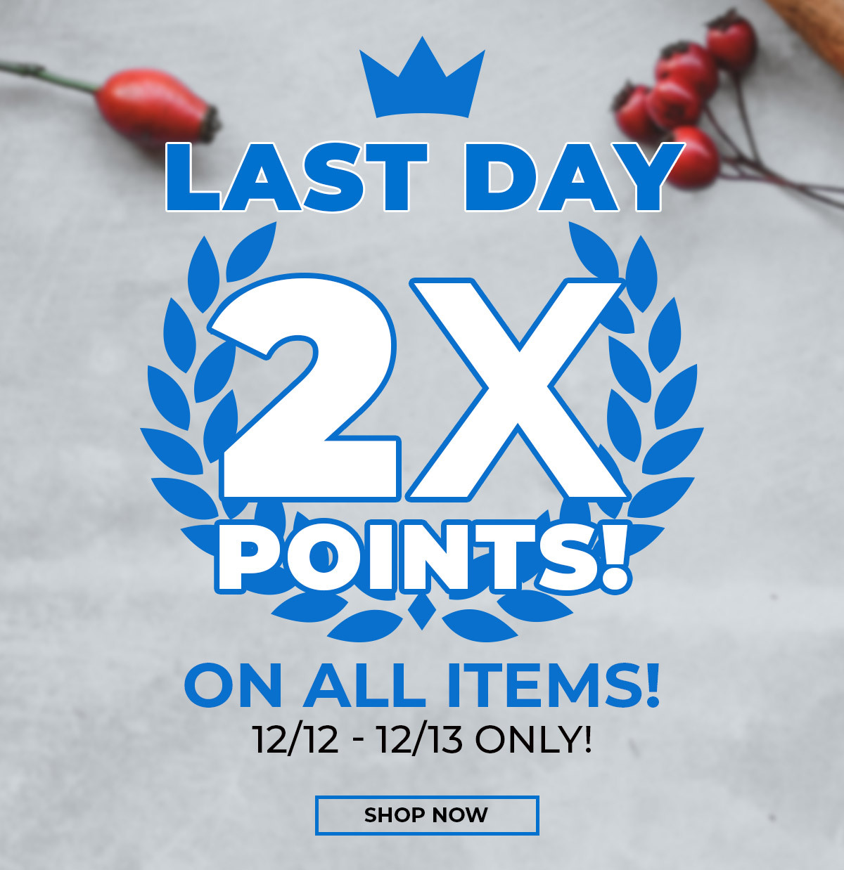 Last day! 2X Blade Club Points on every purchase!