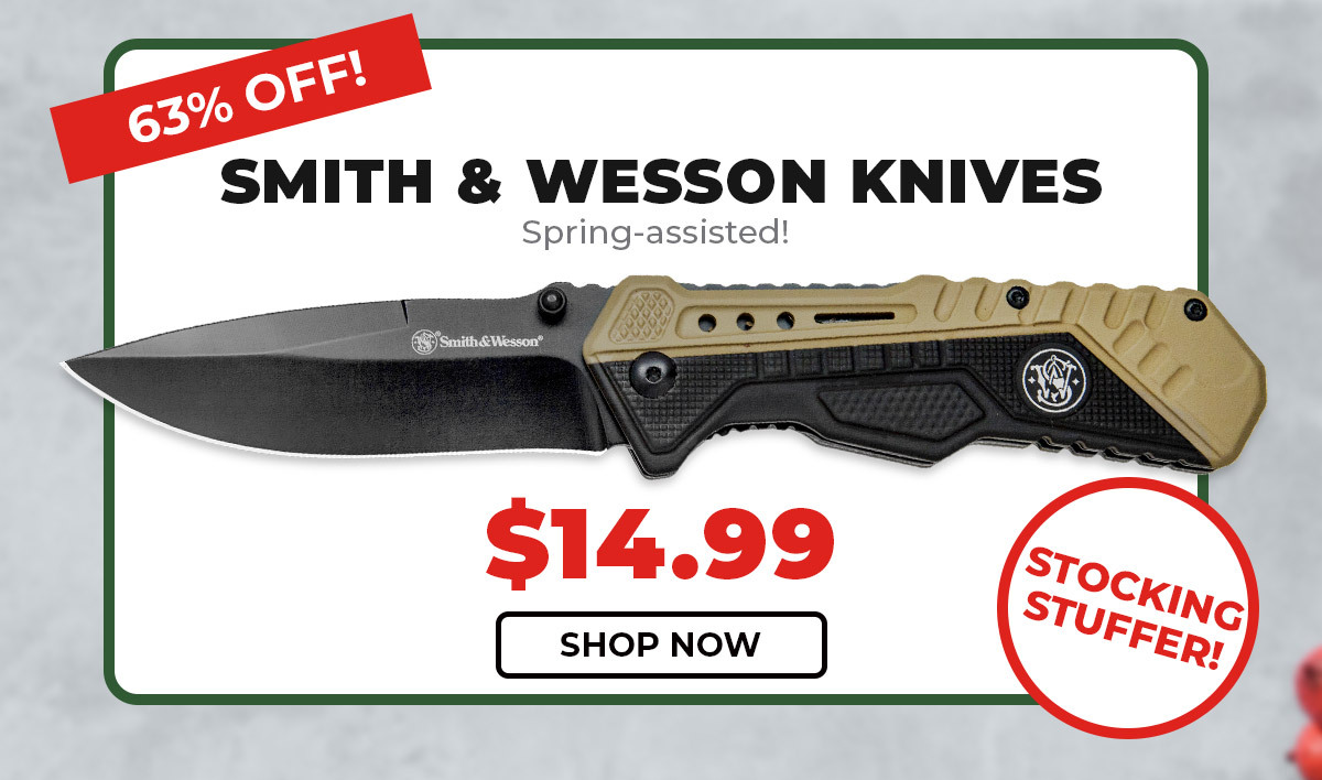 Smith & Wesson Spring Assisted