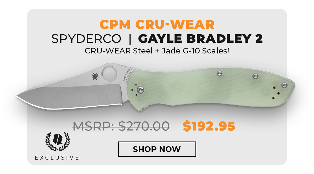 Spyderco Gayle Bradley 2