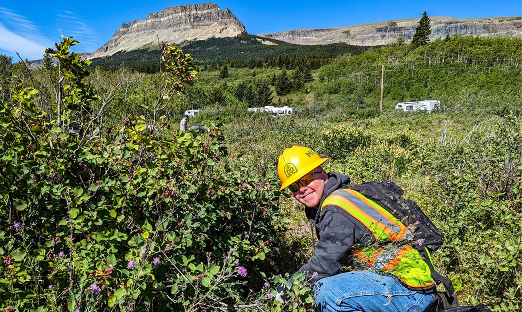 A smiling man working in brush.