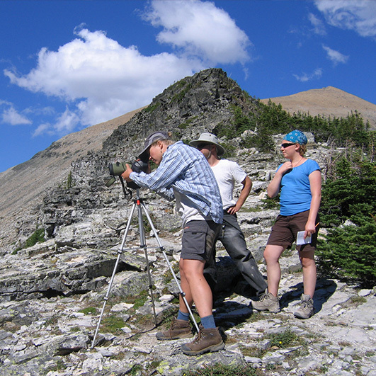 Citizen scientists peer through a spotting scope.