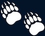 bear paw prints
