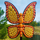 Dollywood Harvest Festival