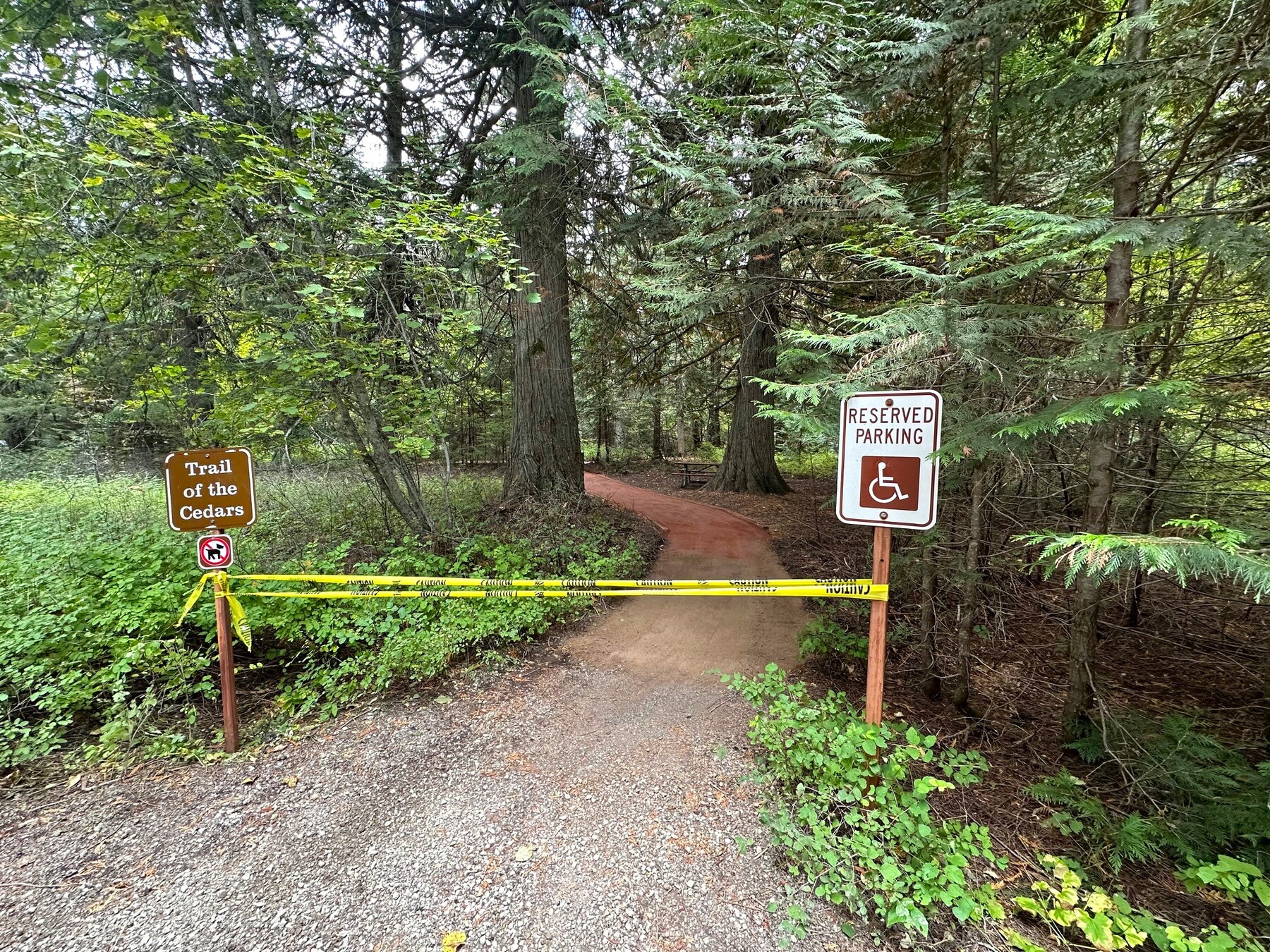 A resurfaced trail connecting to trail of the cedars