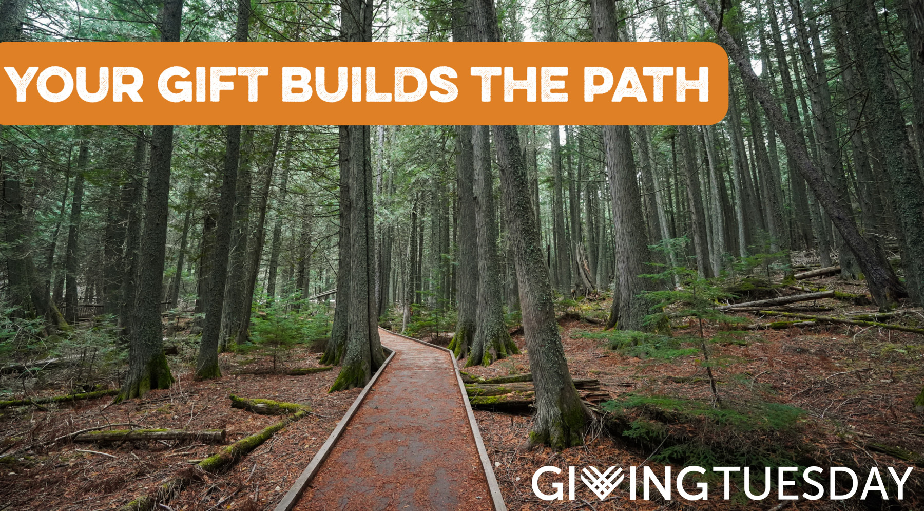 Your gift builds the path