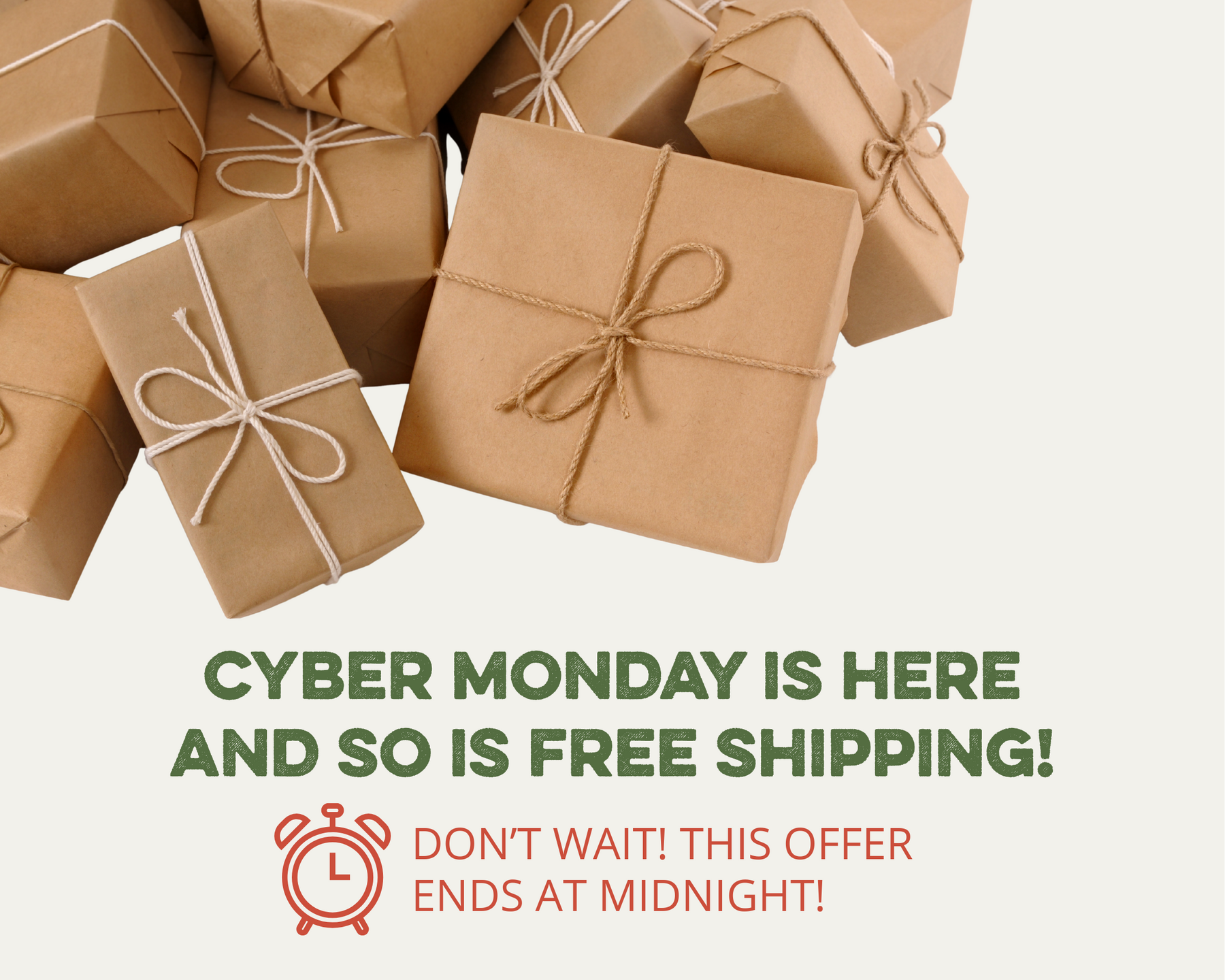 Cyber Monday is here and so is free shipping! Don't wait! This offer ends at midnight!