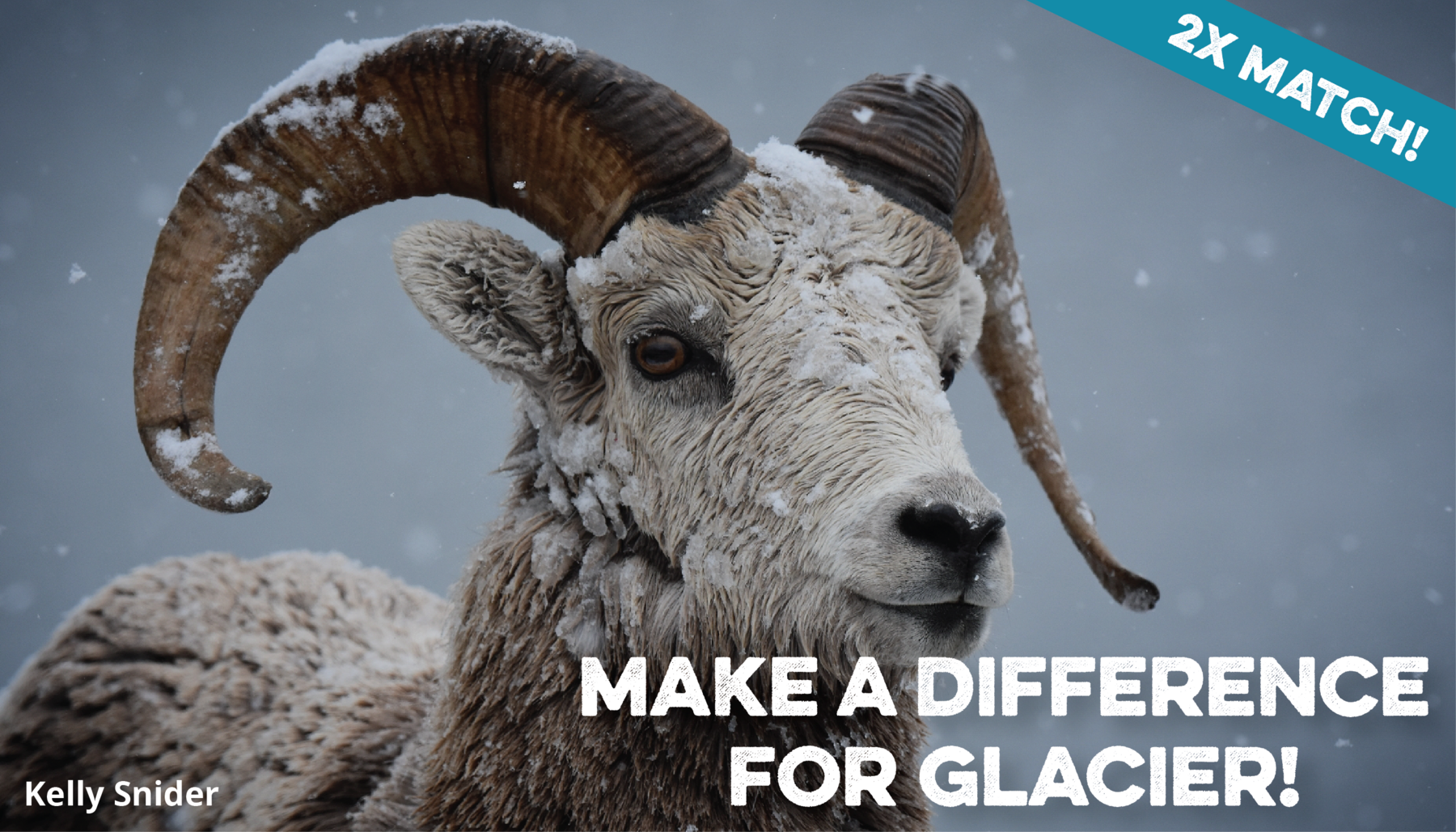 Make a difference for Glacier! 2x Match!
