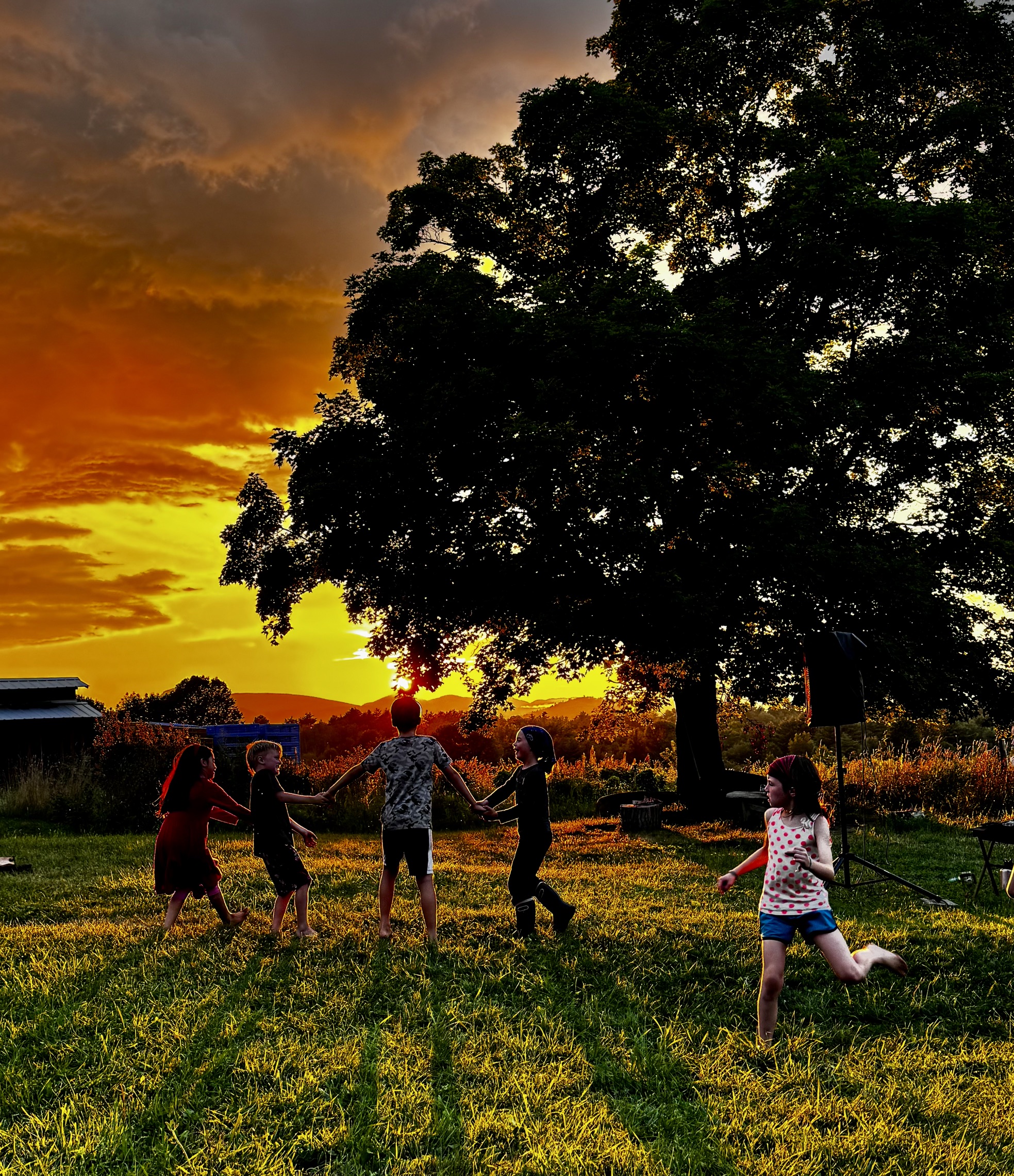 Children playing on the grass during a Farm Food Friday dinner at Reber Rock Farm