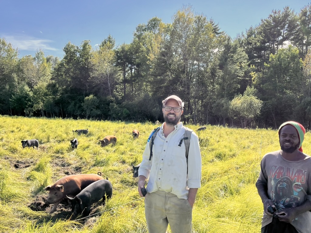 Pasture raised pigs at Reber Rock Farm in the Adirondacks