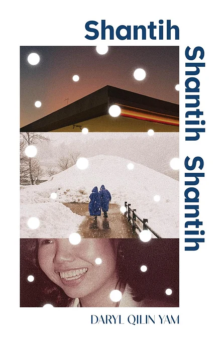 Shantih Shantih Shantih book cover